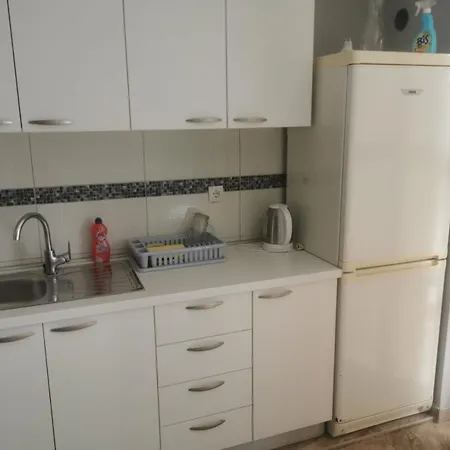 - Petra Preradovica 2k